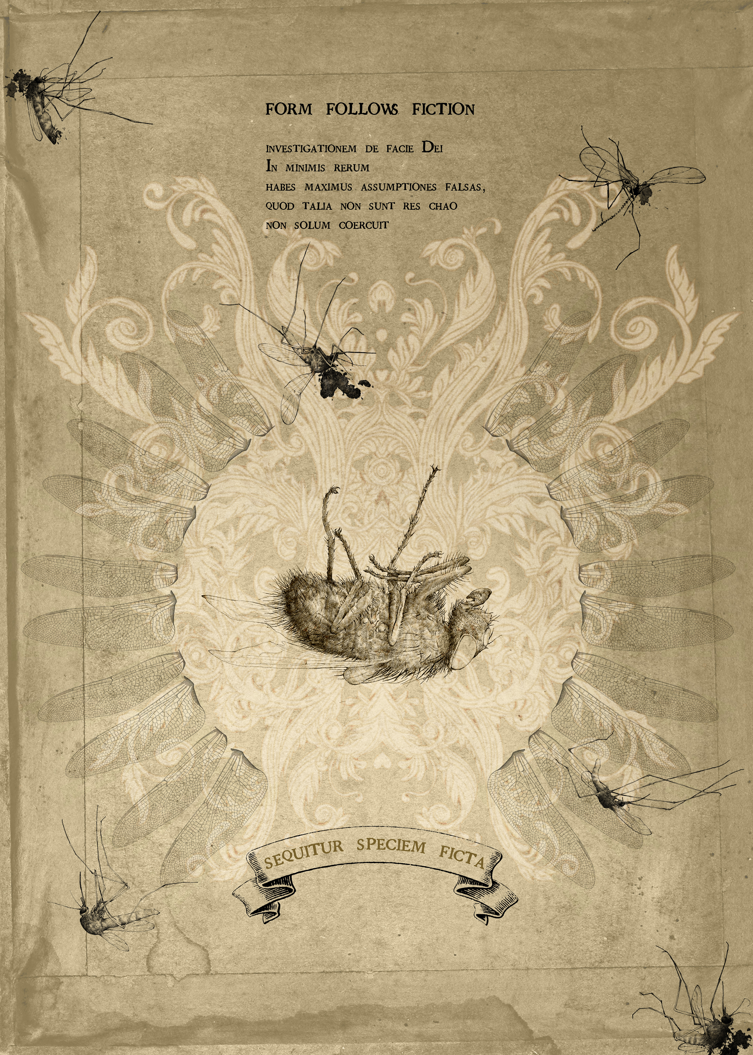 Sepiafärgad affisch med bland annat latinsk text och bild på fångad fluga