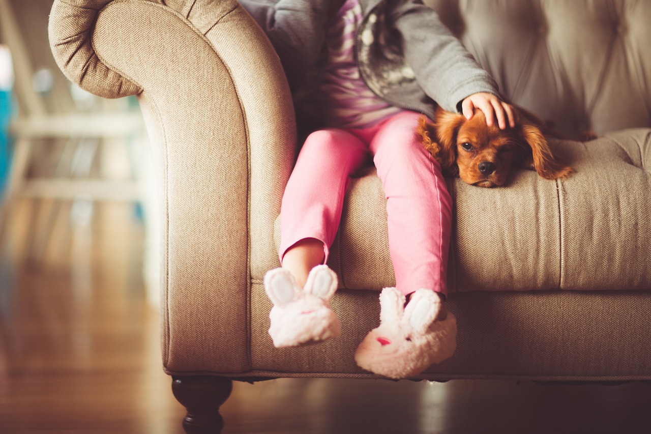 Ett barn sitter i en soffa och klappar en hundvalp som ligger bredvid